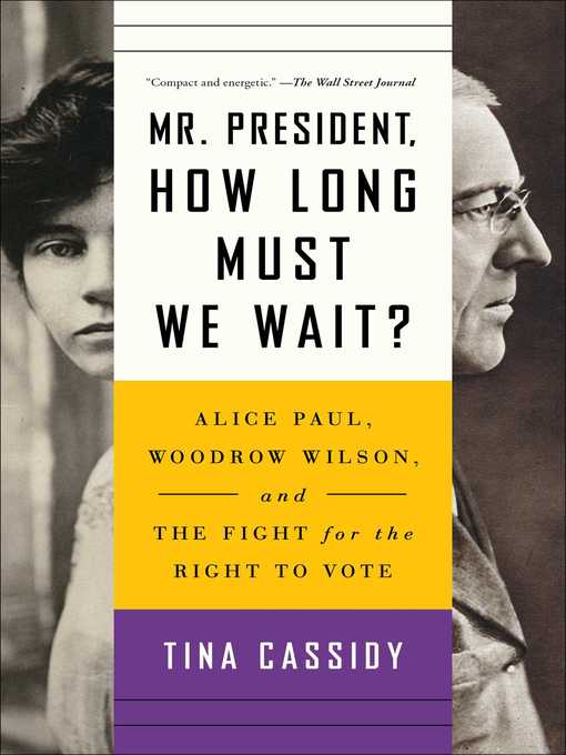 Title details for Mr. President, How Long Must We Wait? by Tina Cassidy - Wait list